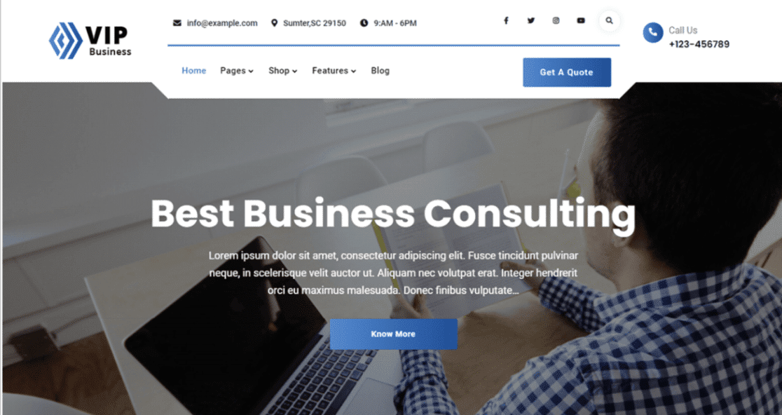 VIP Business Themes for WordPress