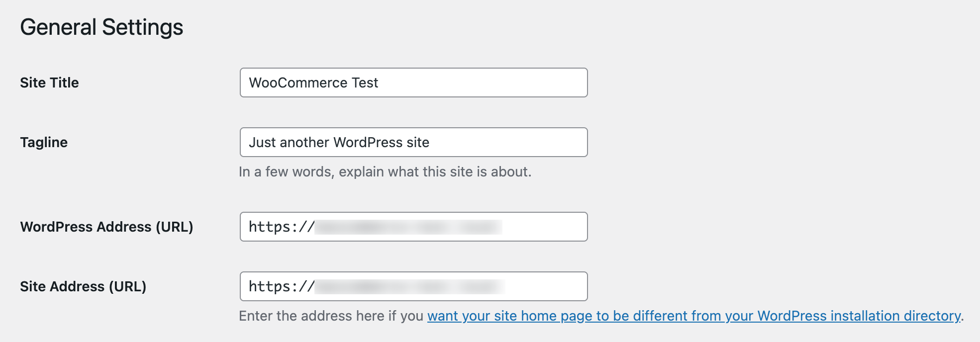 WordPress Setup