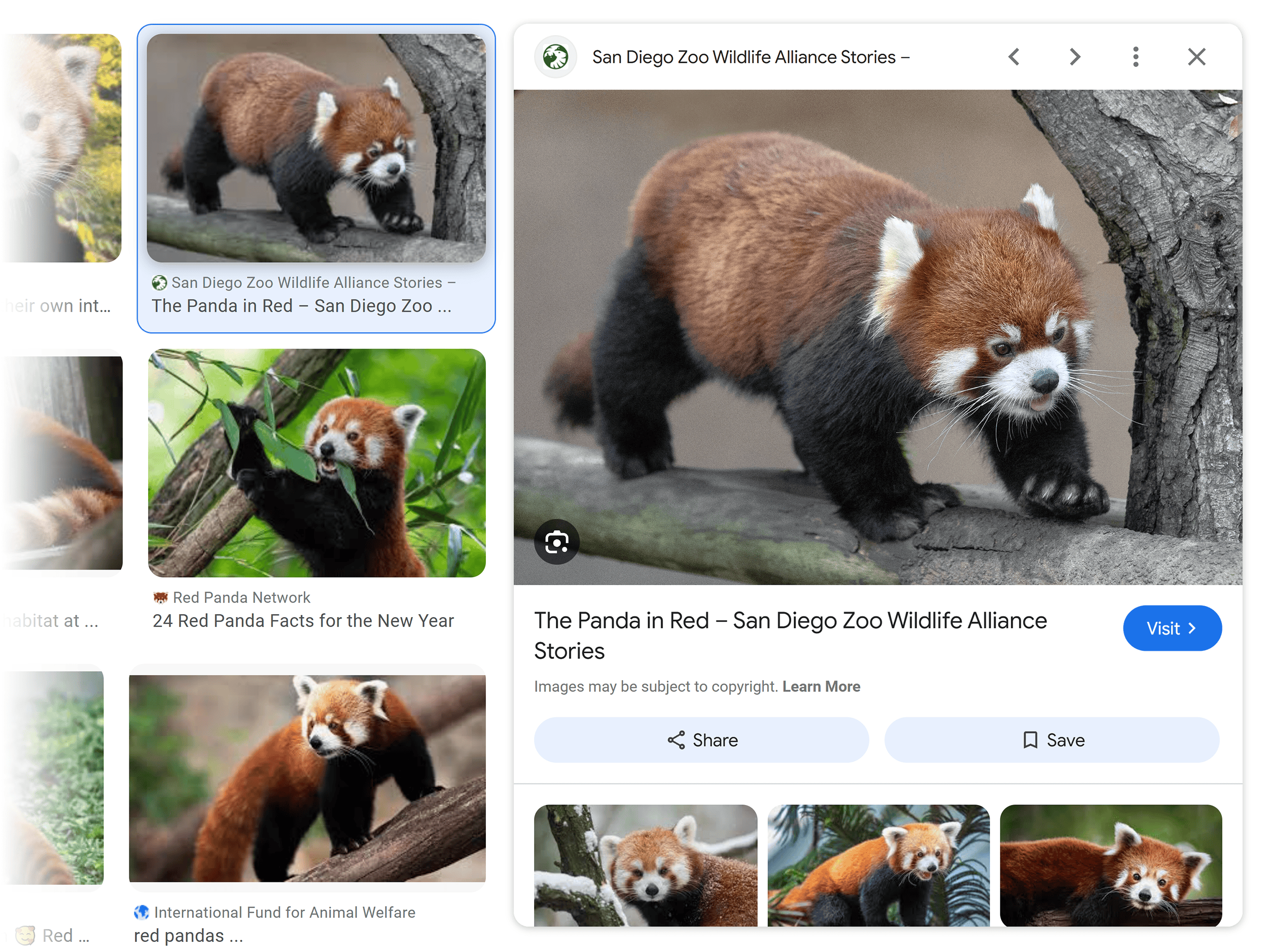 Google Images – Expanded panel