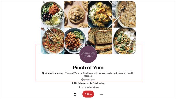 Pinterest Business Profile Example